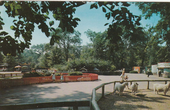 Belle Isle Childrens Zoo - Vintage Postcard (newer photo)
